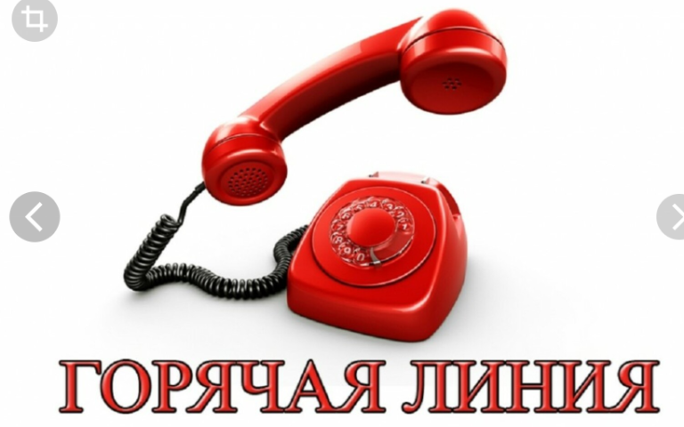 Рабочий Дом Номер Телефона