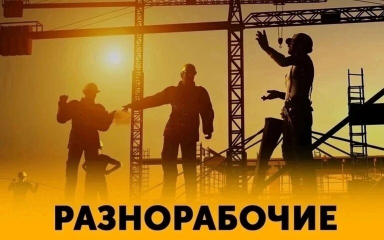 Рабочий Дом: Помощь Людям без Жилья, Работы и Денег